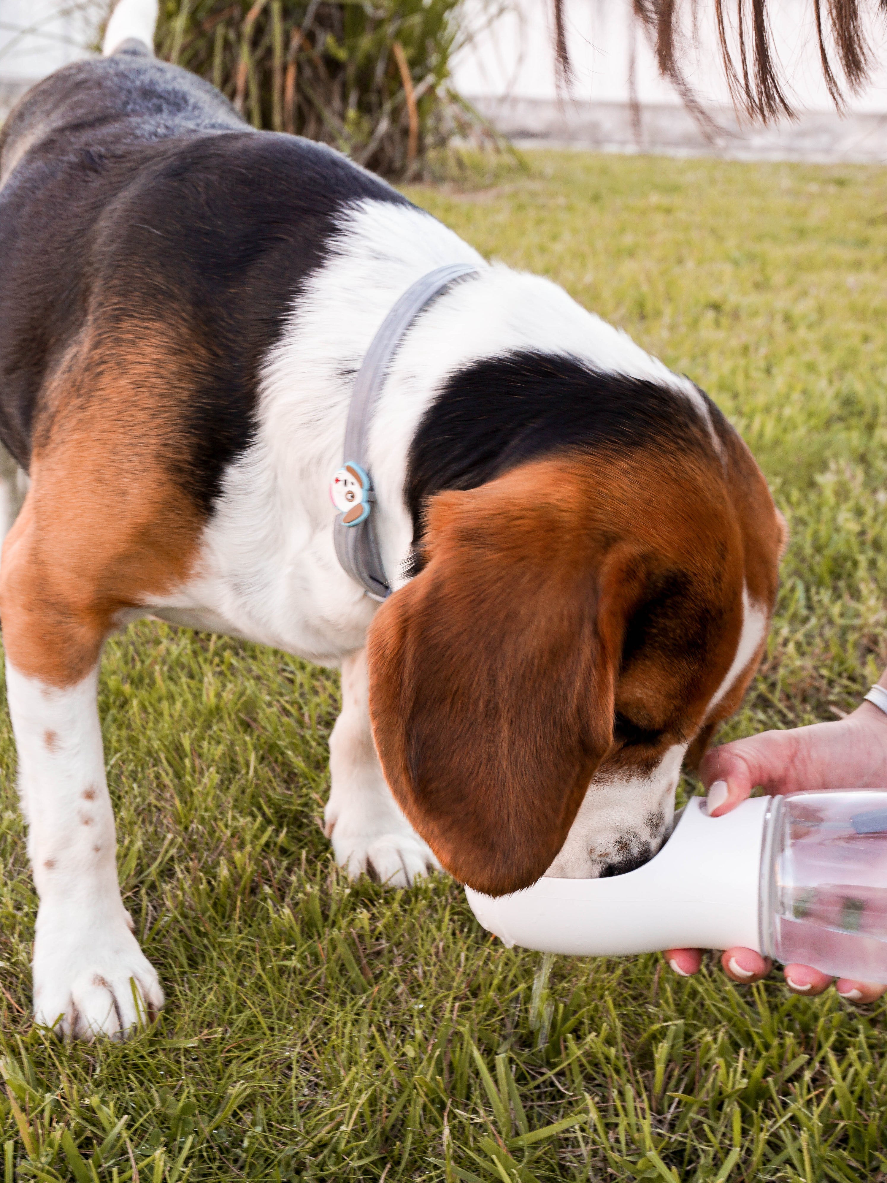 The Outdoor Bottle