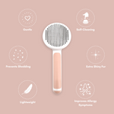The Self-Cleaning Brush