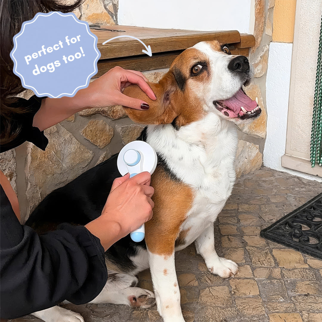 The Self-Cleaning Brush