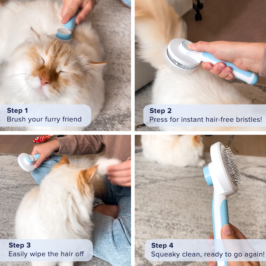 The Self-Cleaning Brush