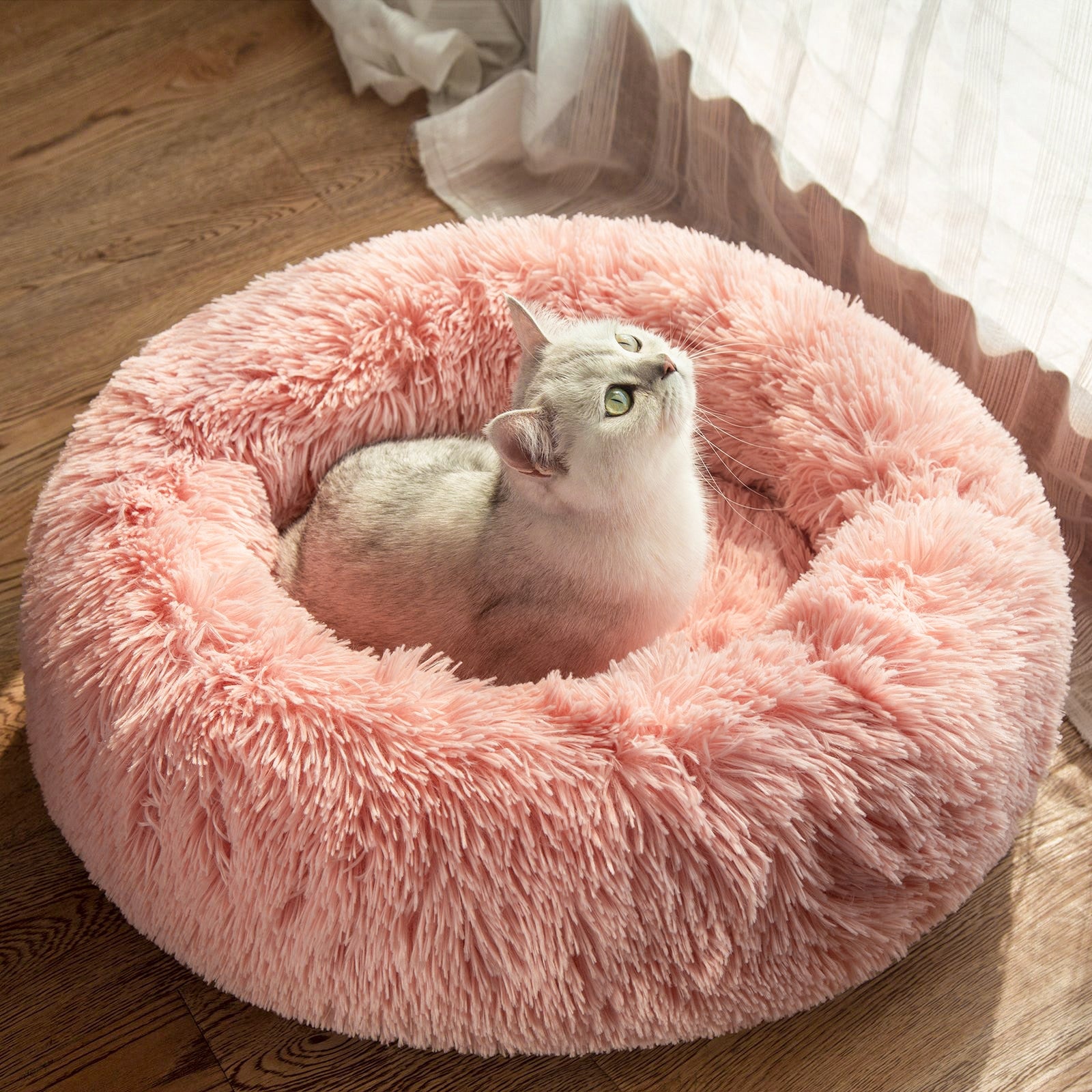 The Zen Nest For Cats